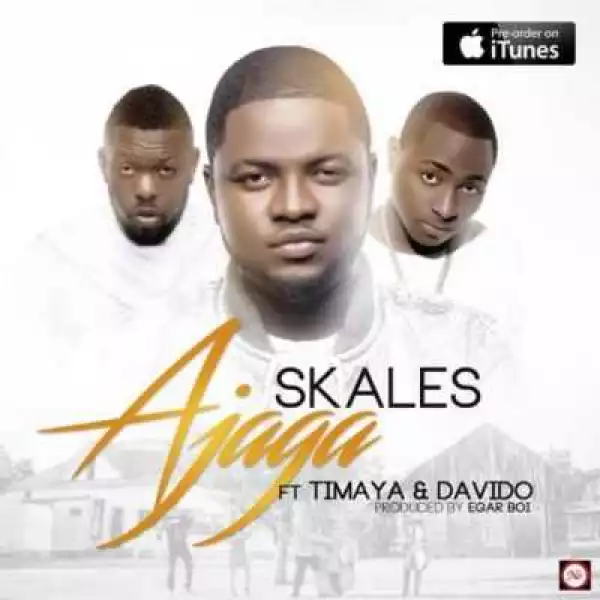 The Never Say Never Guy BY Skales